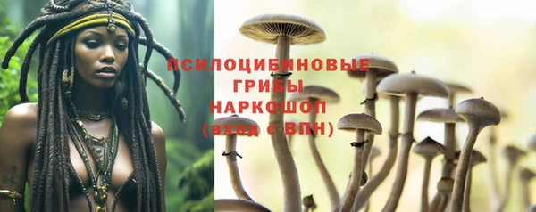 мдпв Баксан