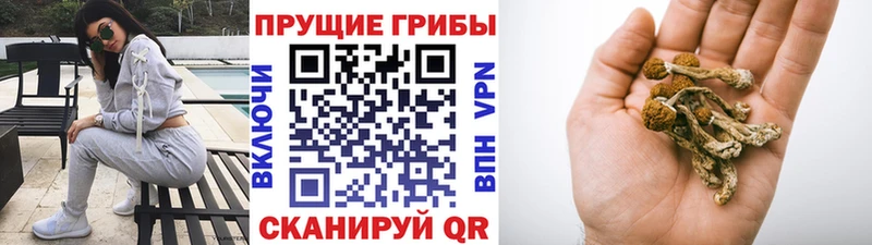 Купить где  Уржум  Галлюциногенные грибы MAGIC MUSHROOMS 